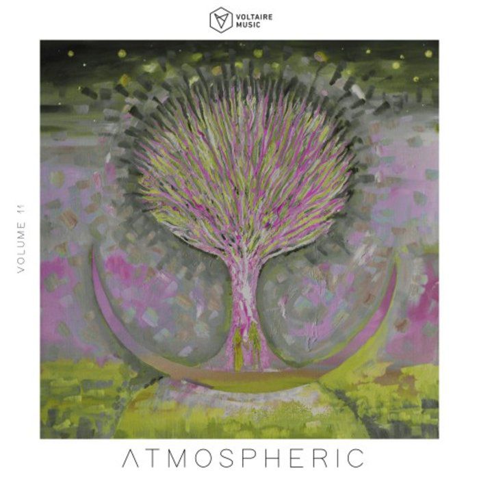 VA - Voltaire Music Pres. Atmospheric, Vol. 12 [VOLTCOMP975]